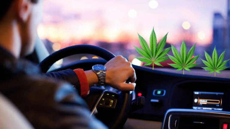 CBD vaping driving performance study