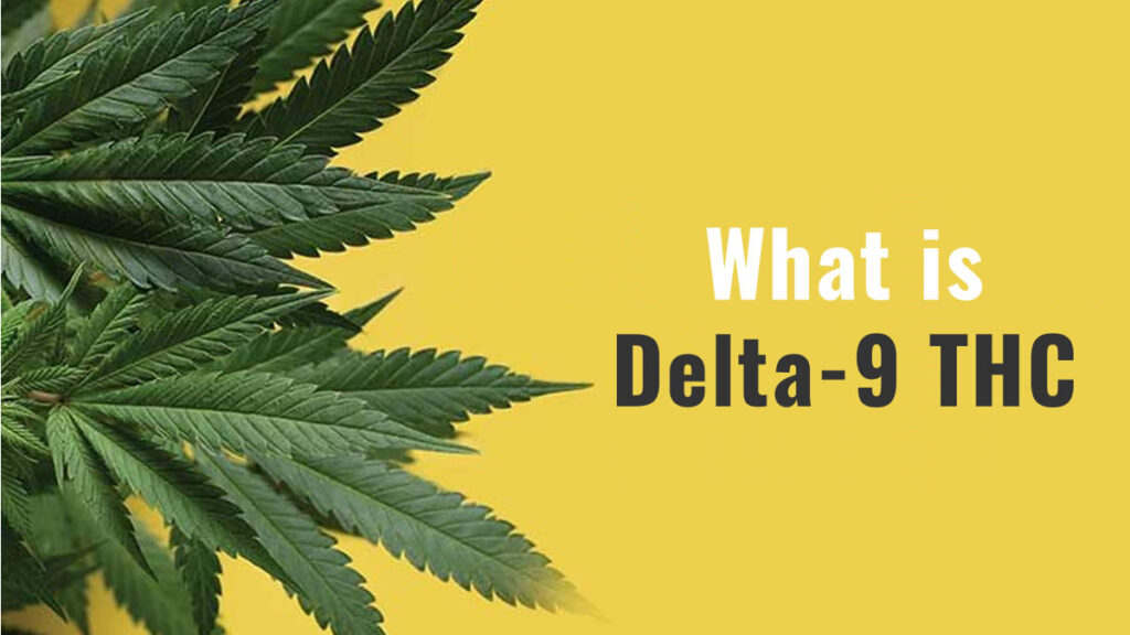 What is Delta-9 THC