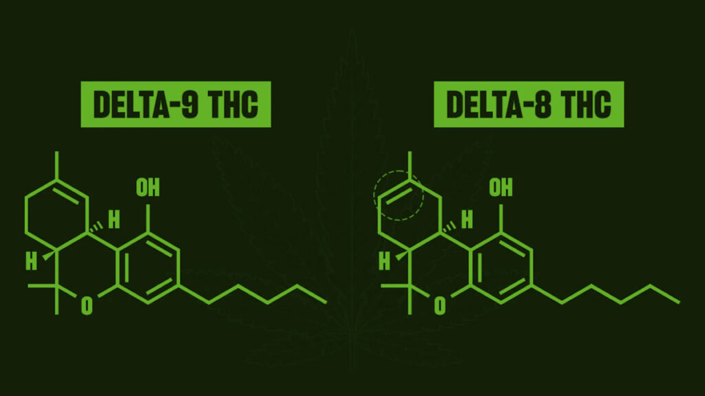 delt-8 vs delt-9