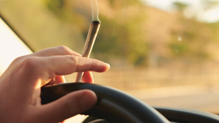 cannabis driving risks