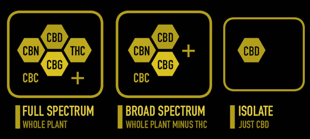 Types of CBD Oil