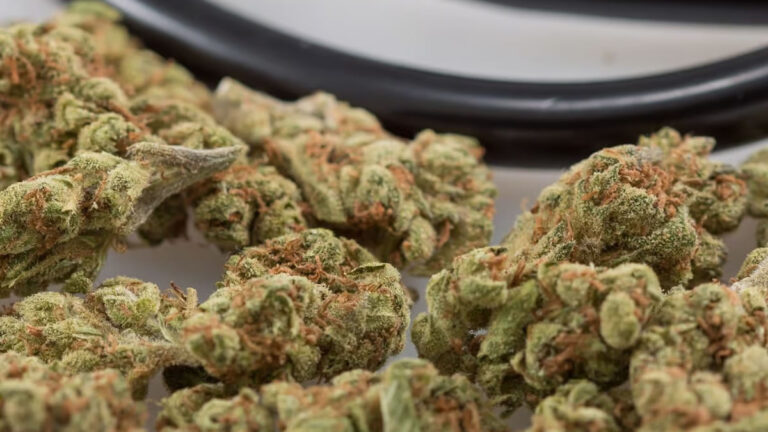 Medical Marijuana Migraine
