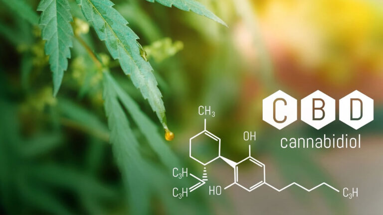CBD Alcohol Craving