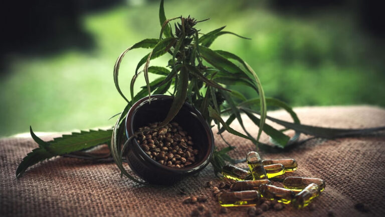 Can CBD Treat Cannabis Addiction? New Study Explores CBD for Cannabis Addiction