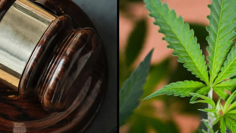 Michigan Judge Allows 24% Marijuana Tax Hike Despite Lawsuit Michigan Marijuana Tax