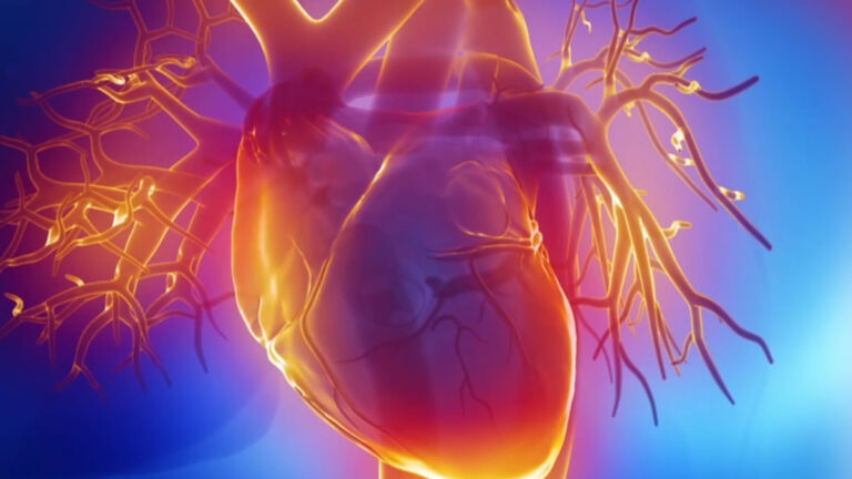 Nicotine Cardiovascular Toxicity