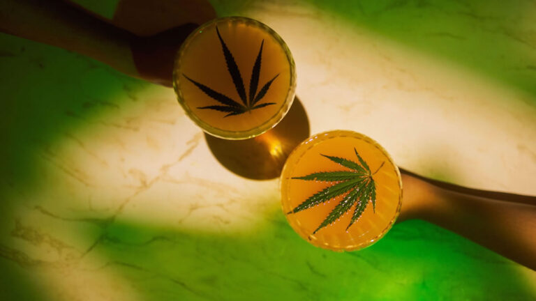 US Ban on Most Hemp Products Starts Nov 2026: What to Know US Hemp Ban 2026