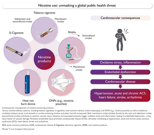 Nicotine Declared Toxic to Heart in All Forms: Expert Consensus 1 image