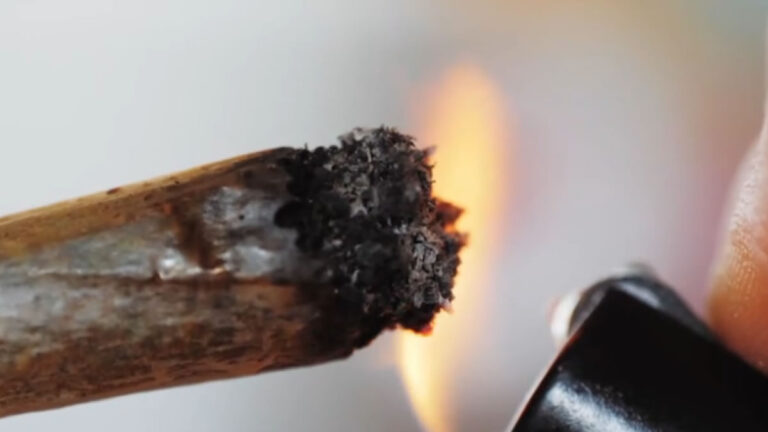 Florida Marijuana Ban, SB 986