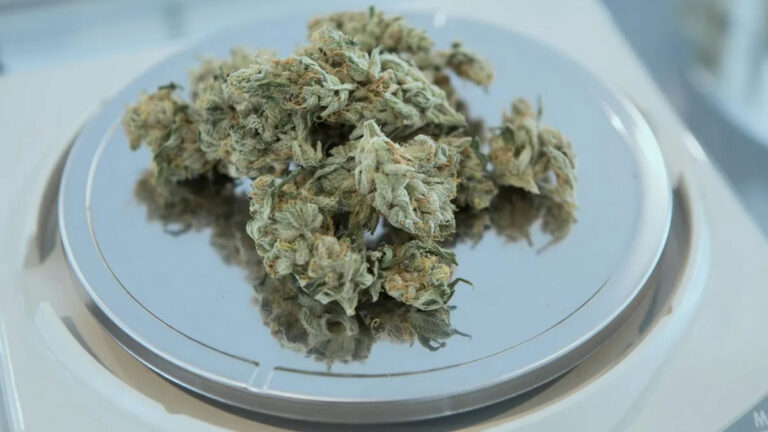 Gamma Irradiation Cannabis, Mycotoxins in Weed