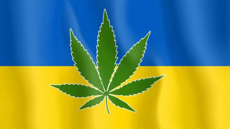 Ukraine Medical Cannabis Quotas 2026