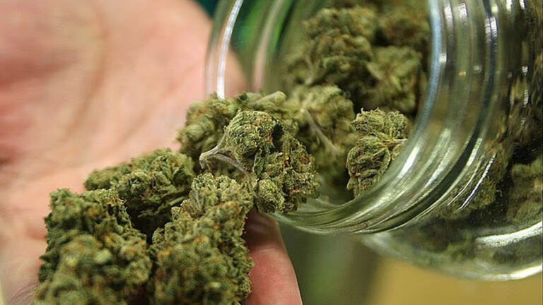 The "Wild West" of UK Medical Cannabis: High-Potency Prescriptions and Illicit Sourcing UK Medical Cannabis, NHS Cannabis Prescriptions