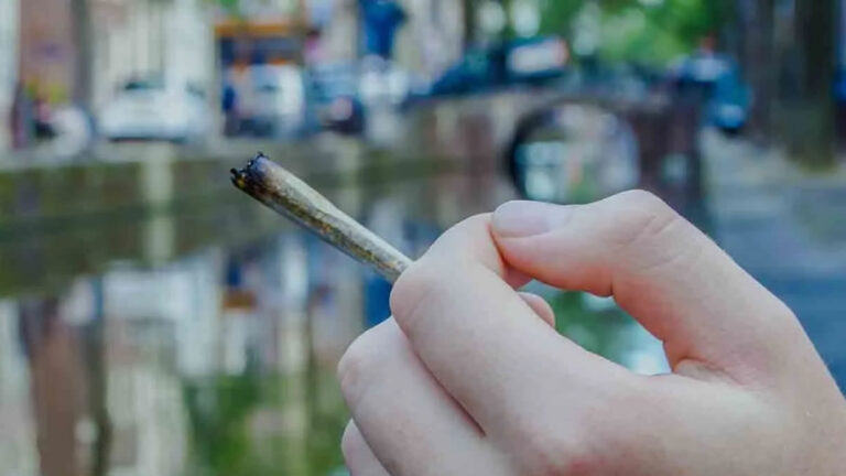 Dutch Cannabis Experiment: 1 Year Results & Future Outlook Dutch Cannabis Experiment, Wietexperiment, Netherlands Weed Legalization