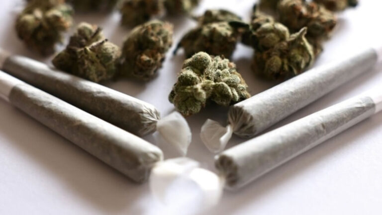 Laced Cannabis in Luxembourg Sparks Synthetic Cannabinoid Fears synthetic cannabinoids Europe