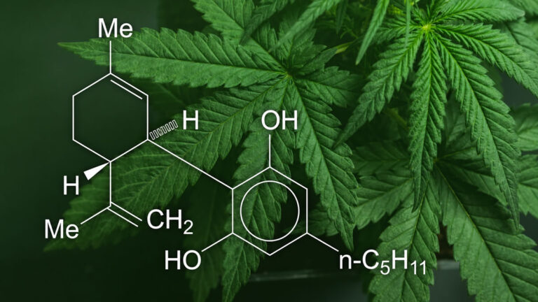 Cannabis Compounds, cannabis metabolism, whole-plant cannabis extract