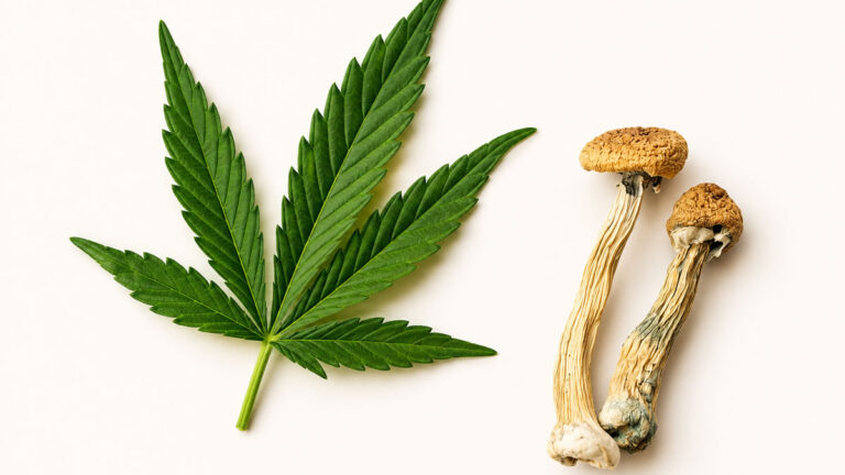 Cannabis and Psychedelics, microdosing cannabis, psychedelic microdosing