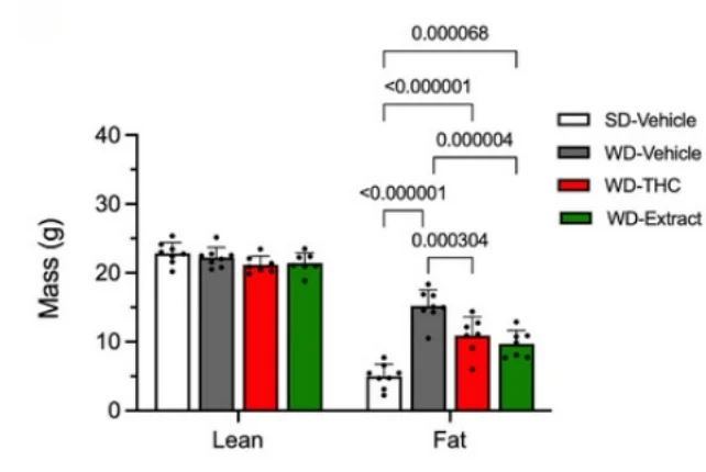 Cannabis Extract Linked to Lower Weight & Diabetes Risk in Mice 2 image 1
