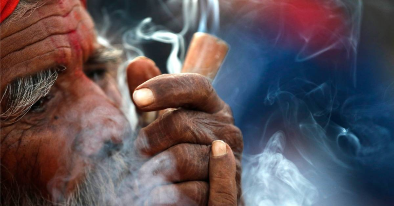 Nepal’s Gandaki Province Legalizes Medical Cannabis Farming Defying National Ban Nepal medical cannabis, Gandaki province marijuana